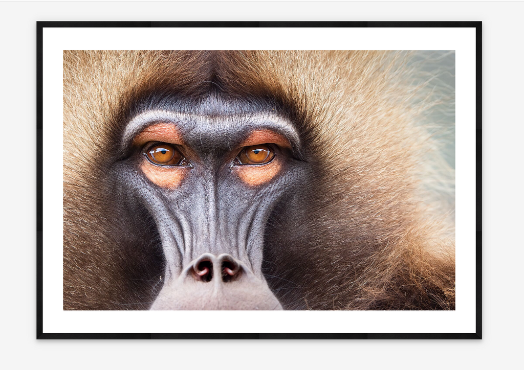 Soul Stare | Bing Lin