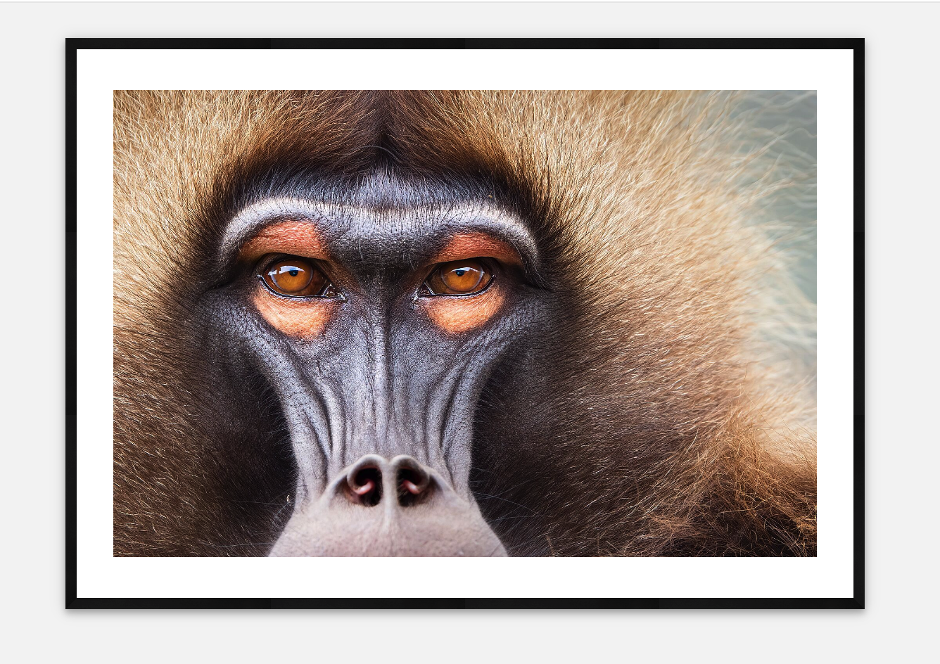 Soul Stare | Bing Lin