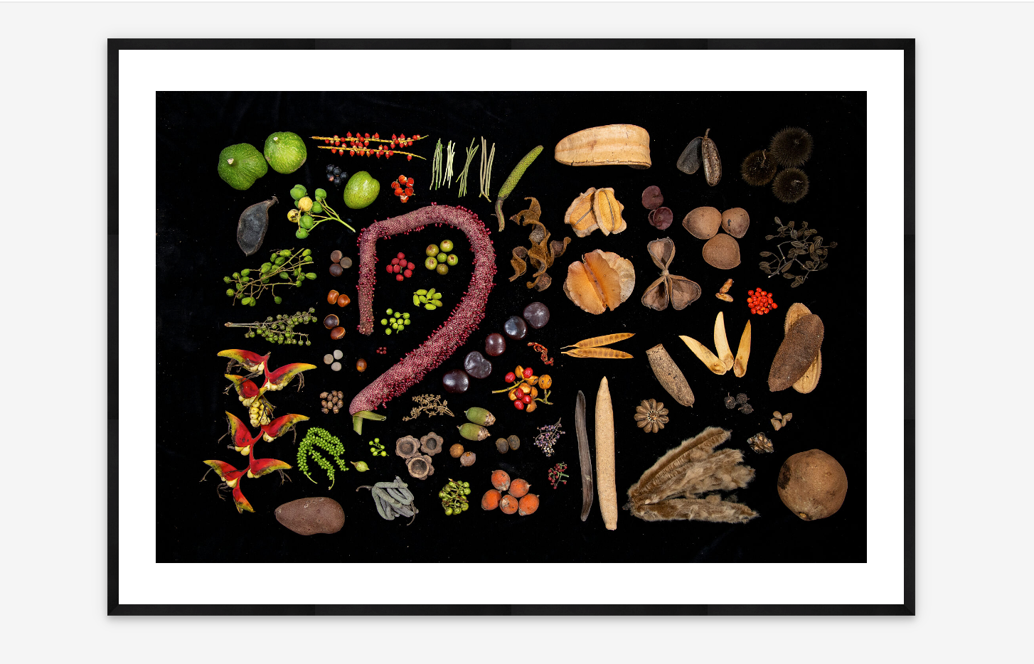 Future of Forests | Christian Ziegler