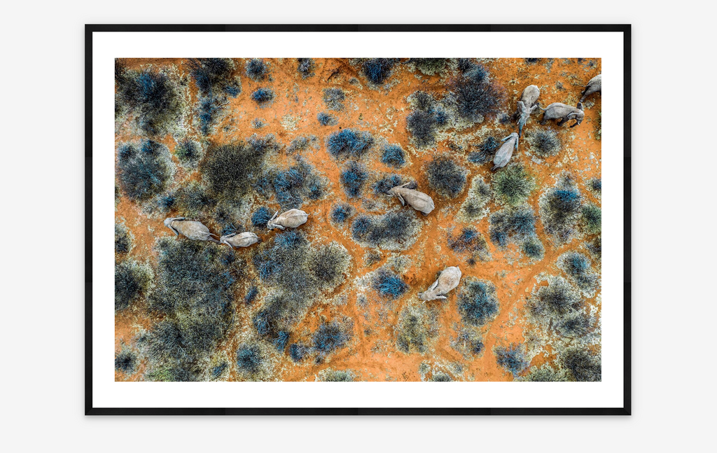 Matriarch March | Sergio Izquierdo