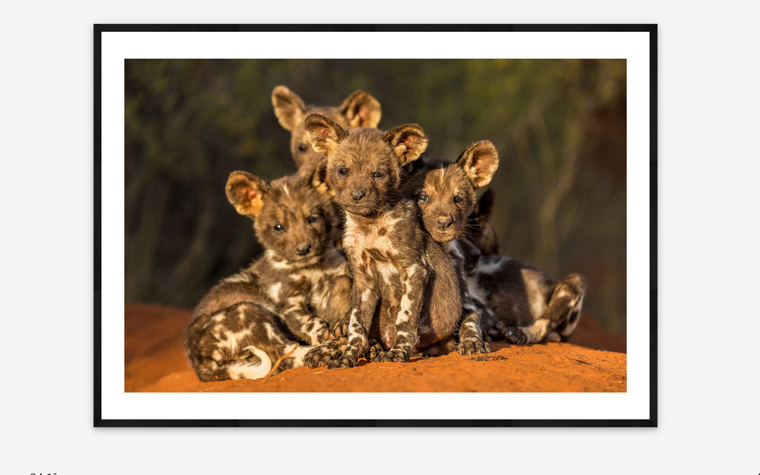 Family Portrait | Marcus Westberg