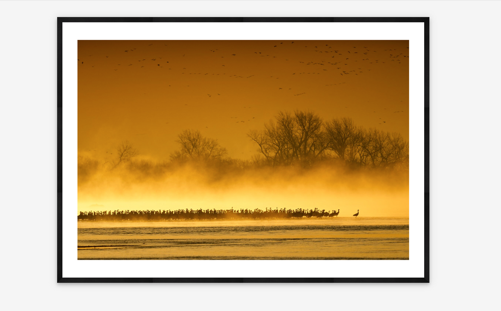 River of Gold | Mike Forsberg