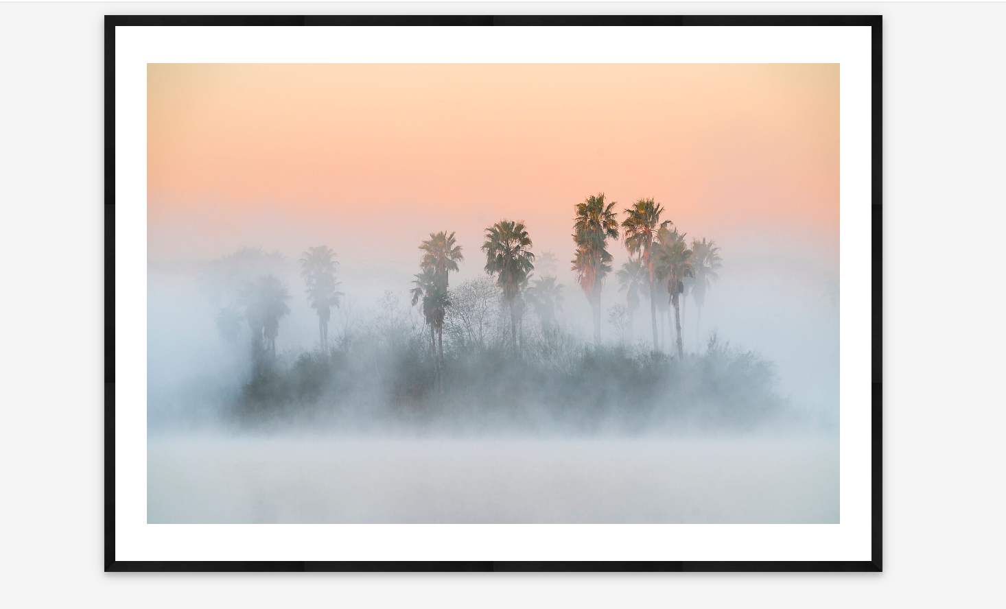 Foggy Morning | Krista Schlyer
