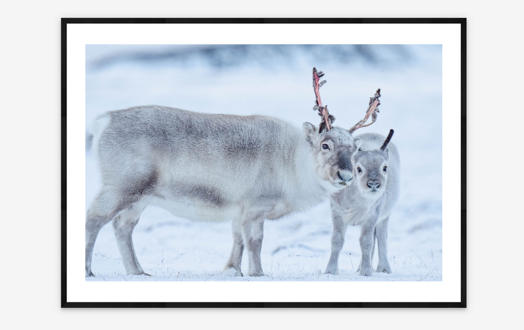 Days of Innocence | Morgan Heim