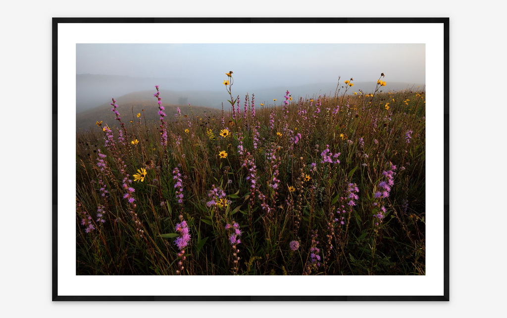 Tallgrass Prairie | Ethan Freese