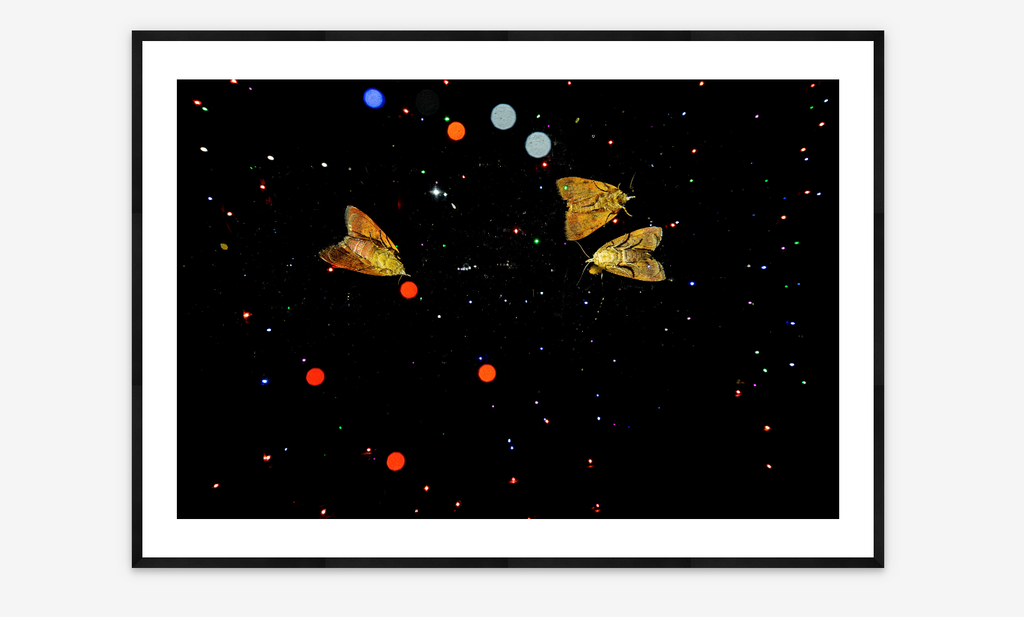 Diwali Moths | Aishwarya Sridhar