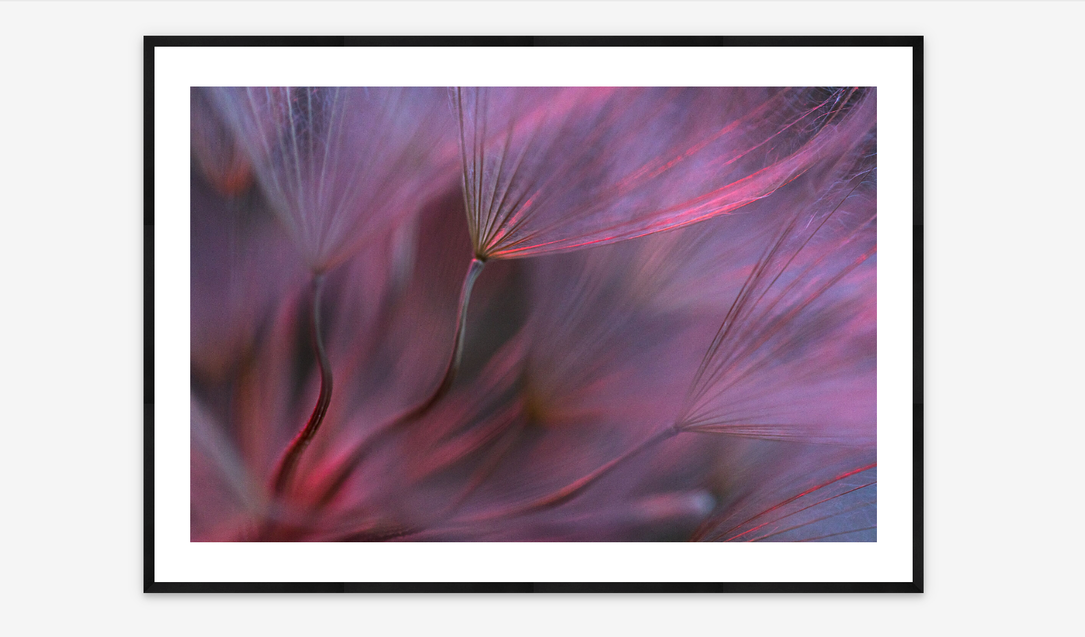 Sacred Seeds | Christina Selby