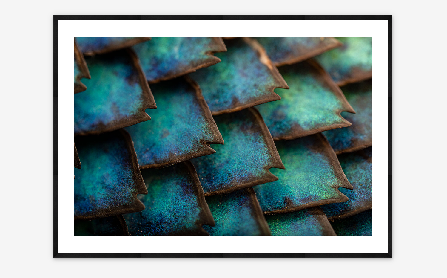 Spiny Scales | Scott Trageser