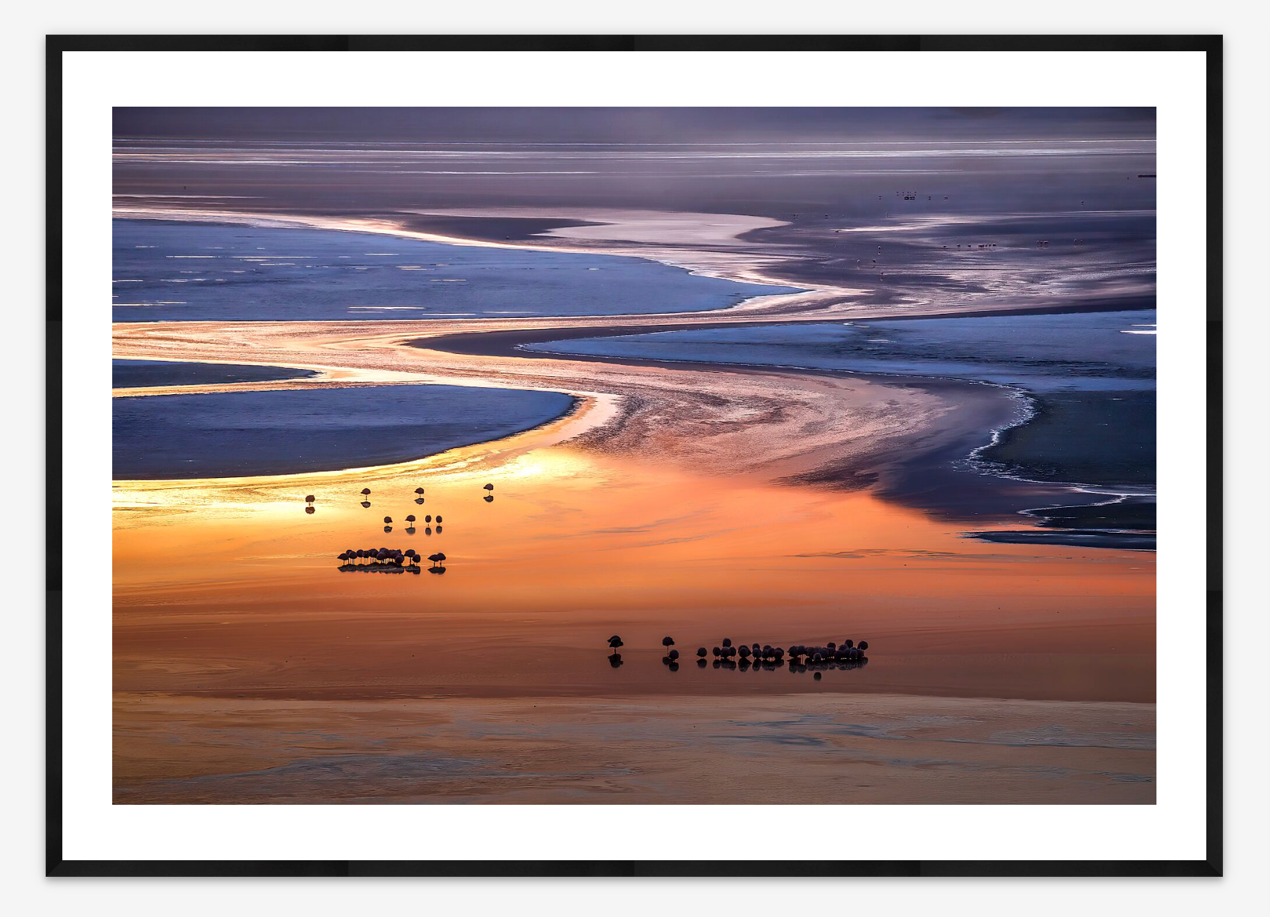 Flamingos at Sunset | Art Wolfe