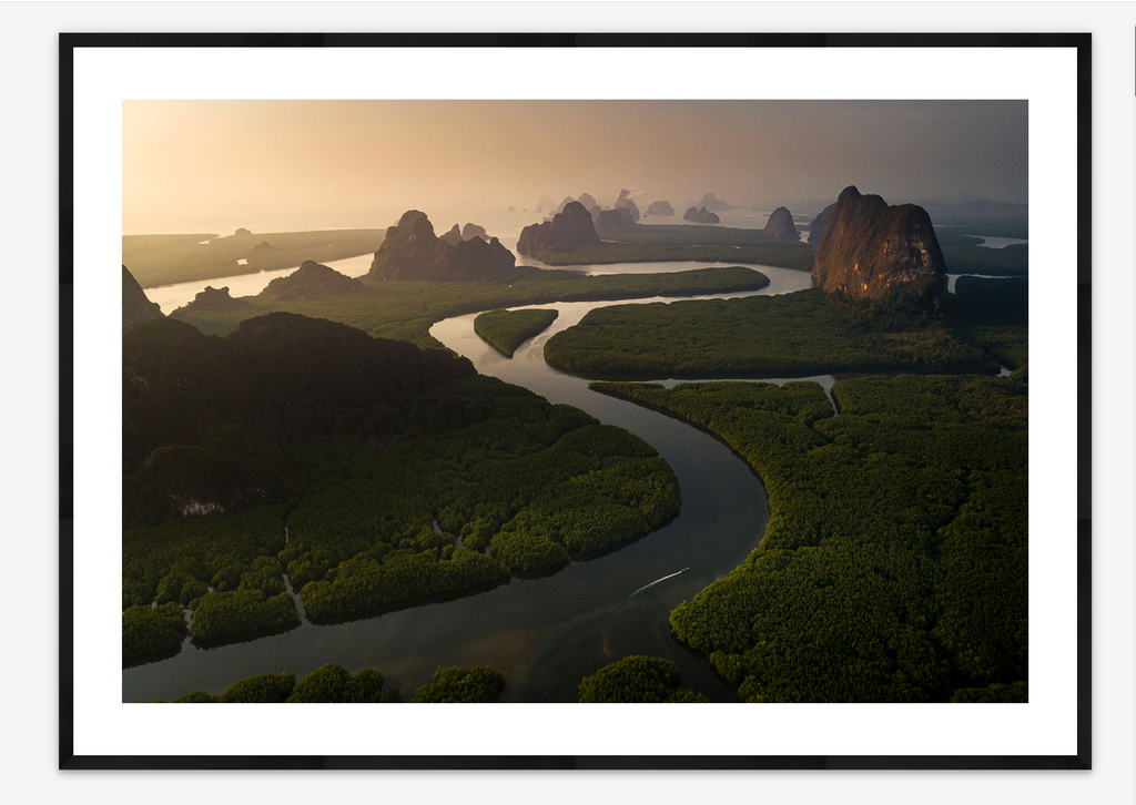 Man and Mangrove | Sirachai Arunrugstichai