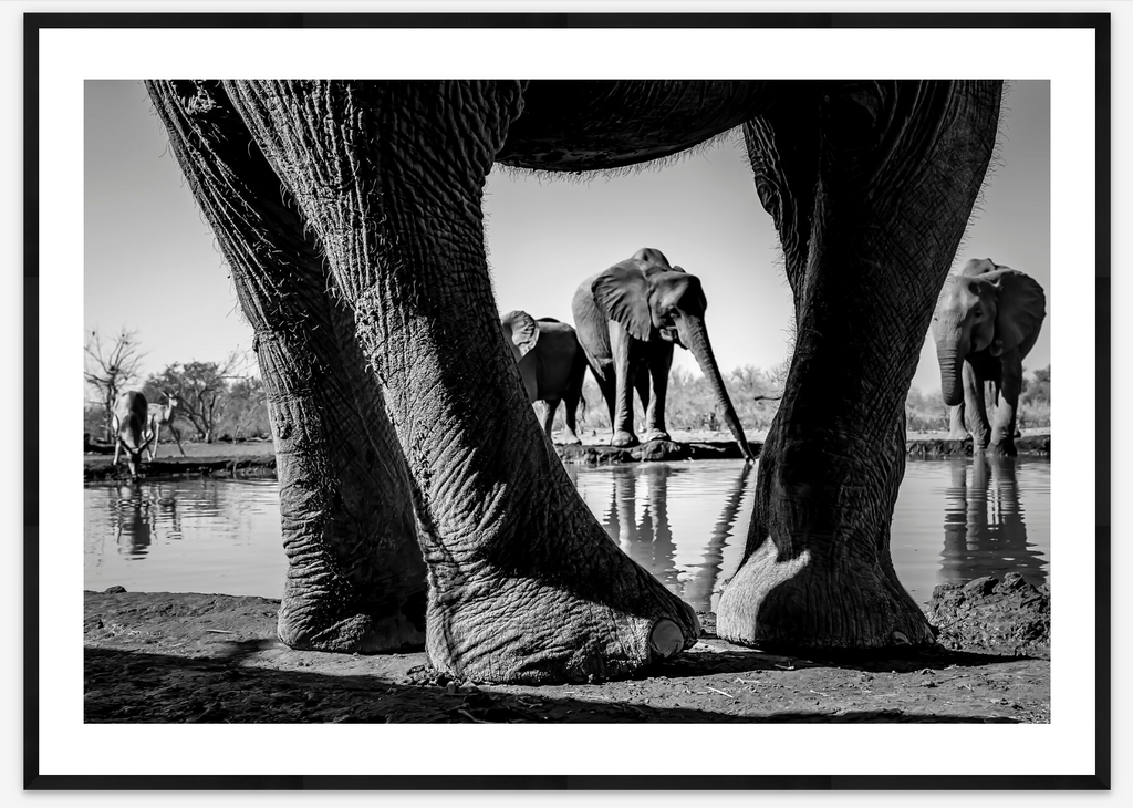 Hide | Karen Kasmauski