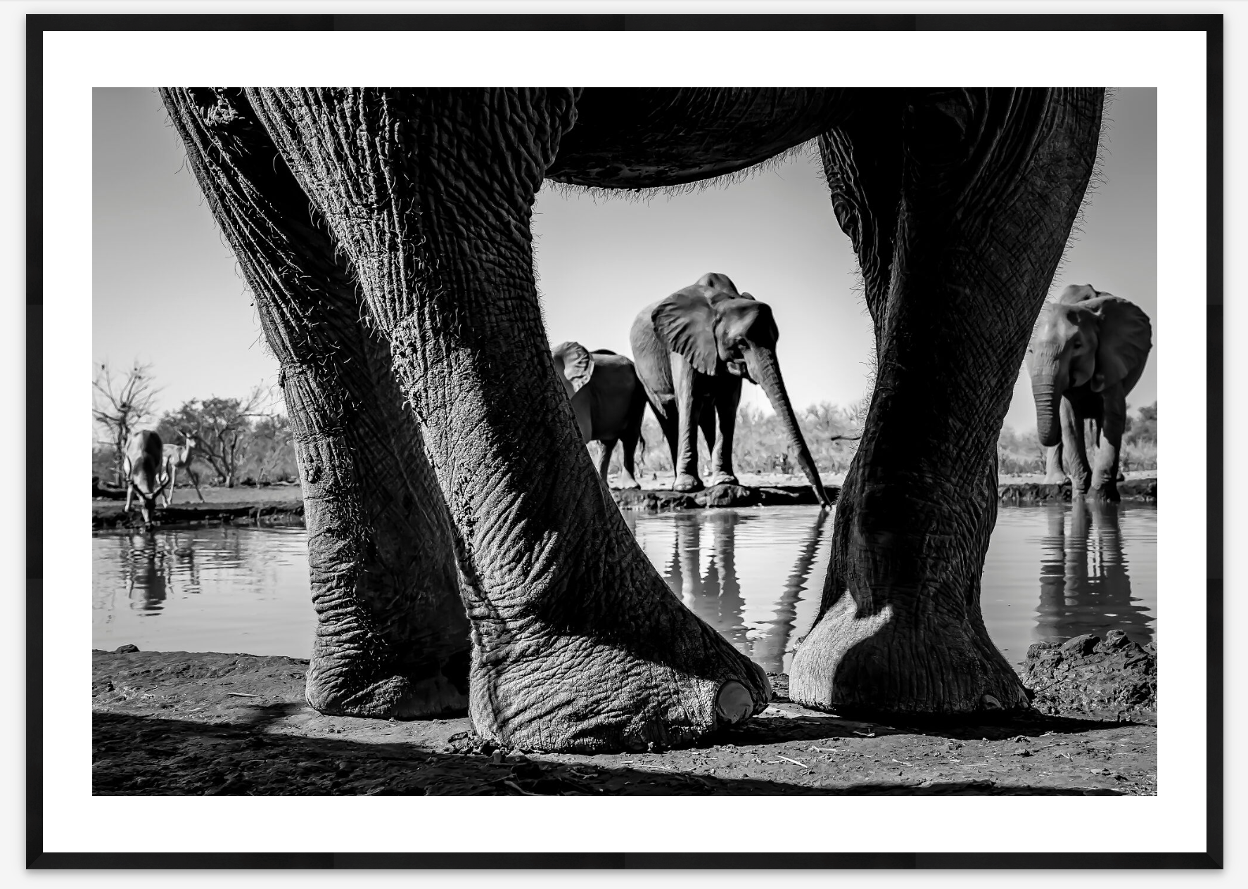 Hide | Karen Kasmauski