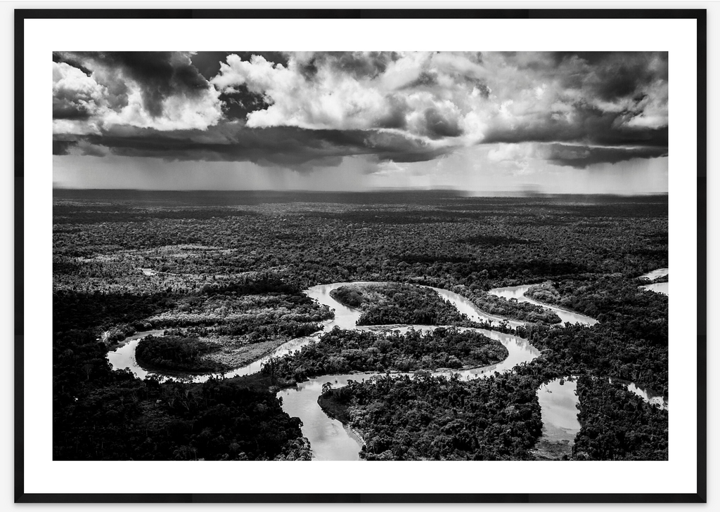 Last Wildest Place | Jason Houston