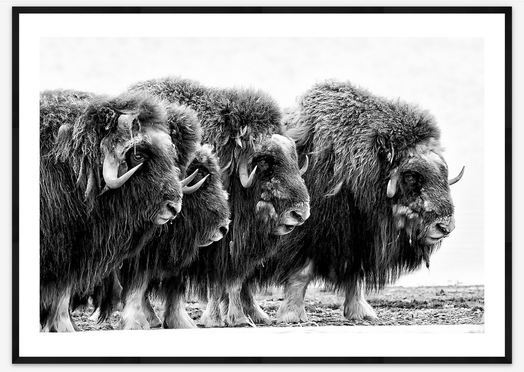 Wall of Solitude | Peter Mather