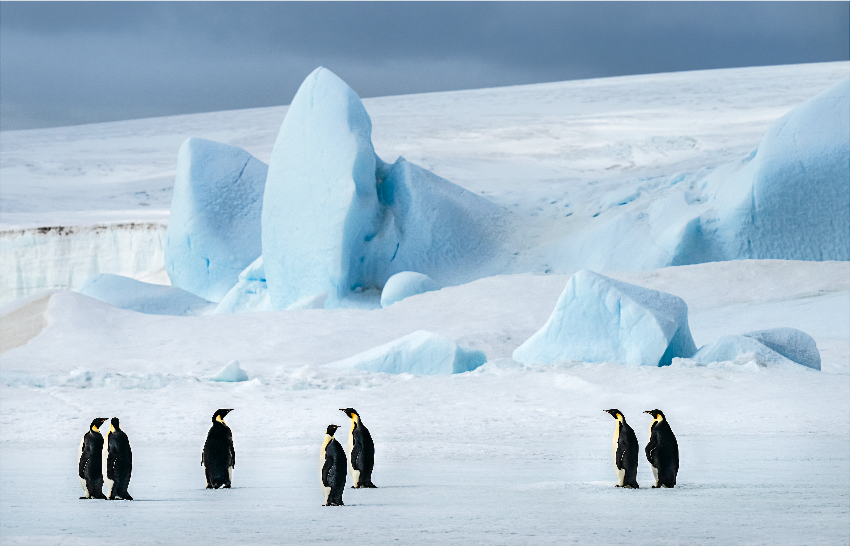 Antarctica | Neil Osborne