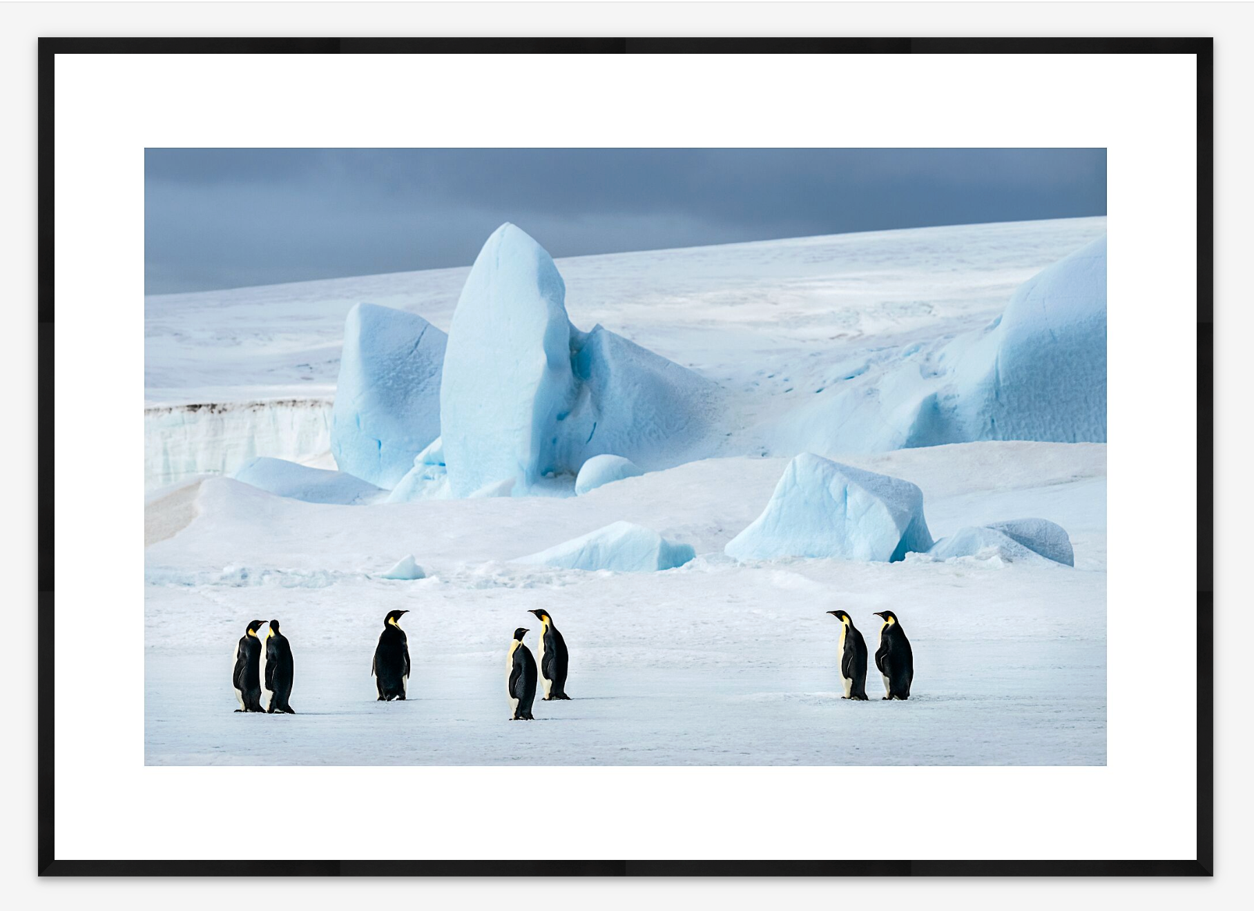 Antarctica | Neil Osborne